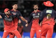 RCB क्यों है सबसे मजबूत टीम, क्या है सबसे बड़ी खासियत, टीम के निदेशक बोबाट ने किया खुलासा