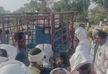 नवतपा का कहर – बैल बाजार में भीषण गर्मी से एक बैल की मौत, गरीब कृषक को हुआ हजारों का नुकसान