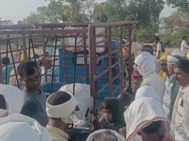 नवतपा का कहर – बैल बाजार में भीषण गर्मी से एक बैल की मौत, गरीब कृषक को हुआ हजारों का नुकसान