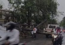 आंधी-तूफान और बारिश से मिली गर्मी से राहत, कई जगह पेड़ गिरे, बिजली व्यवस्था प्रभावित