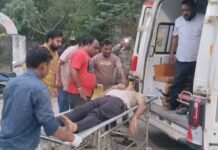 अनियंत्रित बाराती वाहन ने स्कूटी को मारी जोरदार टक्कर, चालक घायल