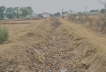 सिकंद्रा की जर्जर केनाल से किसानों में आक्रोश