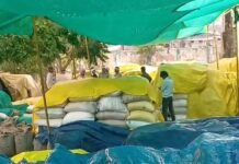 बारदाना संकट से थमी चना और गेहूं की खरीदी, खुले में पड़ा अनाज भीगने की कगार पर