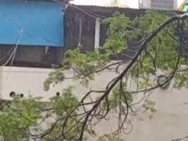 कभी उमस भरी तेज धूप,तो कभी सुहानी बारिश गर्मी के दिनों में बेमौसम बारिश,ने बदला मौसम का मजाज