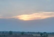 मध्य प्रदेश के 25 जिलों में धूलभरी आंधी और बारिश का यलो अलर्ट, 50Km की रफ्तार से चलेंगी तूफानी हवाएं