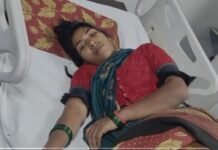 खेत जाते समय महिला पर मधुमक्खियों का हमलागंभीर हालत में जिला अस्पताल में भर्ती