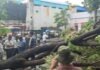 तेज आंधी-बारिश से शहर बेहाल, कई इलाकों में जलभराव और पेड़ गिरे