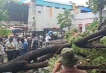 तेज आंधी-बारिश से शहर बेहाल, कई इलाकों में जलभराव और पेड़ गिरे