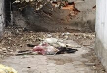 रंजीश ऐसी, की बकरा बकरियों को खाने में मिलाकर दे दिया जहर