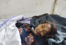 अज्ञात सफेद कार की जोरदार टक्कर, महिला की मौके पर मौत, एक घायल
