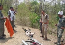 मधुमख्खियो के हमले से व्यक्ति की मौत,