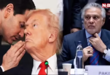 भारत दौरे के ठीक बाद पाकिस्तानी विदेश मंत्री से क्यों मिले रहे मार्को रूबियो? अचानक अमेरिका पहुंचे इशाक डार