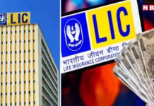 ₹18,500 करोड़ की खरीदारी, डूबते बाजार में LIC ने सस्ते में खरीद लिए शेयर, देख लीजिए लिस्ट