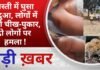 BALAGHAT NEWS: बस्ती में घुसा तेंदुआ, लोगों में मची चीख-पुकार, दो लोगों पर हमला ! PADMESH NEWS