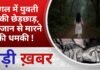 BALAGHAT NEWS: जंगल में युवती से की छेड़छाड़, दी जान से मारने की धमकी ! PADMESH NEWS BALAGHAT