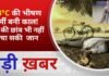 BALAGHAT NEWS: 43°C की भीषण गर्मी बनी काल! पेड़ की छांव भी नहीं बचा सकी जान ! PADMESH NEWS BALAGHAT