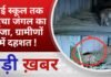 BALAGHAT NEWS: हाई स्कूल तक पहुंचा जंगल का राजा, ग्रामीणों में दहशत ! PADMESH NEWS BALAGHAT