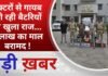 BALAGHAT NEWS: ट्रैक्टरों से गायब हो रही बैटरियों का खुला राज… 7 लाख का माल बरामद !PADMESH NEWS