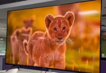 Thomson QLED 4K TV Review: कमाल का डिस्प्ले, जबर्दस्त ऑडियो, पर क्या 2GB रैम और पुराना ब्लूटूथ बिगाड़ देगा गेमिंग का मजा?