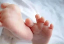 इंदौर: खजराना क्षेत्र में कचरे के ढेर में मिला नवजात का क्षत-विक्षत शव, जांच में जुटी पुलिस