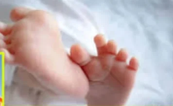 इंदौर: खजराना क्षेत्र में कचरे के ढेर में मिला नवजात का क्षत-विक्षत शव, जांच में जुटी पुलिस