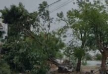 जिले में दिख रही प्री मानसून की आहट, आंधी तूफान के साथ आधा घण्टा हुई झमाझम बारिशमौसम विभाग ने दिए