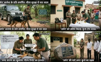 कूनो नेशनल पार्क में चीतों की निगरानी करने वाले प्रशिक्षित जर्मन शेफर्ड की मौत, हार्ट अटैक की आशंका या हादसा?