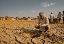 अल नीनो का असर: मध्य प्रदेश में मानसून की रफ्तार थमी, इन 16 जिलों में सूखे का खतरा, किसानों की बढ़ी सकती है परेशानी
