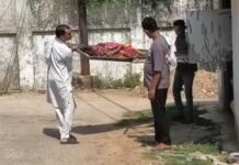 चूल्हे पर चाय बनाते समय लगी आग