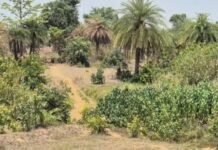 मदनपुर-कायदी नाले पर पुलिया के अभाव में ग्रामीण परेशान