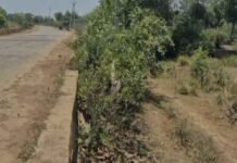 हादसों को न्यौता मदनपुर पुलिया से राहगीर परेशान