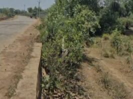 हादसों को न्यौता मदनपुर पुलिया से राहगीर परेशान
