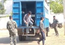 वारासिवनी में गौवंश वध का पर्दाफाश, ४ आरोपी गिरफ्तार