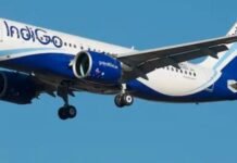 Indigo Flight: बेंगलुरु-मुंबई इंडिगो फ्लाइट से टकराया पक्षी, टेकऑफ के वक्त रनवे पर हुआ हादसा