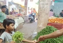 गुमठियां तोड़े बीत गए 3 साल,बनाना भूले जिम्मेदार, बदहाल हो रहा गुजरी बाजार काम्प्लेक्स,