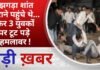 BALAGHAT NEWS: झगड़ा शांत कराने पहुंचे थे… फिर 3 युवकों पर टूट पड़े हमलावर ! PADMESH NEWS BALAGHAT