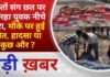BALAGHAT NEWS: दोस्तों संग छत पर सो रहा युवक नीचे गिरा, मौके पर हुई मौत, हादसा या कुछ और ? PADMESH