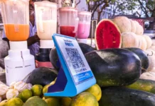 PhonePe, GPAY, Paytm चलाने वालों के लिए NPCI ला रहा नया फीचर, एक ऐप पर दिखेंगे सभी ऑटोमैटिक पेमेंट्स
