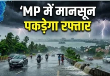 अगले 5 दिनों तक एमपी में भारी बारिश का अलर्ट, इन जिलों को लेकर IMD की चेतावनी