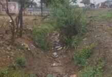 जर्जर जलवाहिनी और झाडिय़ों के जाल में फंसा कौलीवाड़ा का किसान