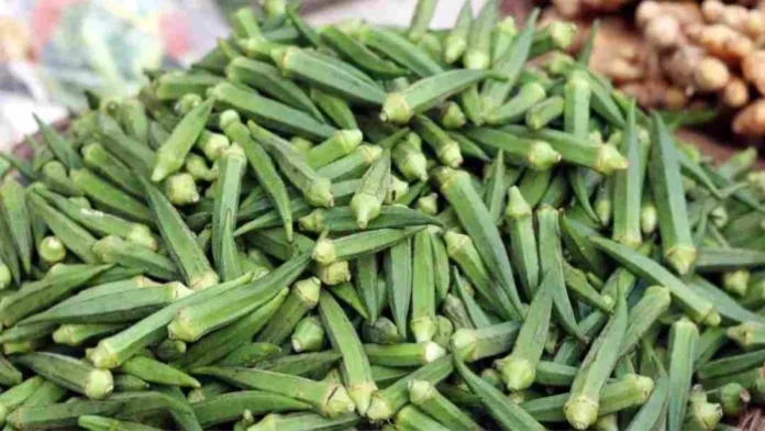 14_07_2026-dhar_me_bhindi__m