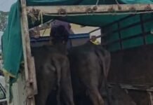 रूपझर पुलिस की बड़ी कार्रवाई