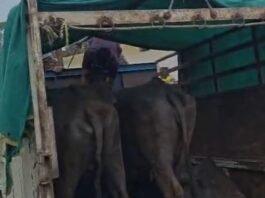 रूपझर पुलिस की बड़ी कार्रवाई