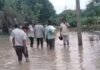 ई-अटेंडेंस की मजबूरी या जानलेवा लापरवाही…शाजापुर में उफनता नाला पार का स्कूल पहुंच रहे शिक्षक