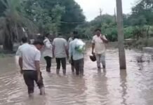 ई-अटेंडेंस की मजबूरी या जानलेवा लापरवाही…शाजापुर में उफनता नाला पार का स्कूल पहुंच रहे शिक्षक