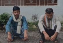 खैरलांजी भालू शिकार मामला, करेंट से मौत के बाद शव के किए थे टुकड़े