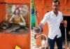 सागर में शिव के चरणों में कुंडली मारे रातभर बैठा रहा 5 फीट लंबा नाग, पंडित पहुंचे तो उड़ गए होश!