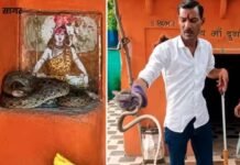 सागर में शिव के चरणों में कुंडली मारे रातभर बैठा रहा 5 फीट लंबा नाग, पंडित पहुंचे तो उड़ गए होश!