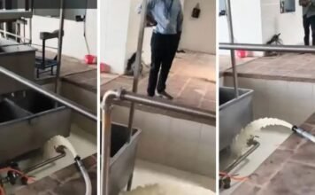 महाराष्ट्र में मिलावटी दूध का बड़ा भंडाफोड़, सोलापुर में FDA ने 15 लाख रुपये का 37 हजार लीटर से ज्यादा दूध किया नष्ट