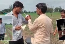 शाजापुर के खेत में आसमान से गिरा रहस्यमयी बॉक्स, किसान ने समझा ड्रोन, पास जाते ही टिक-टिक करने लगा तो उड़े होश